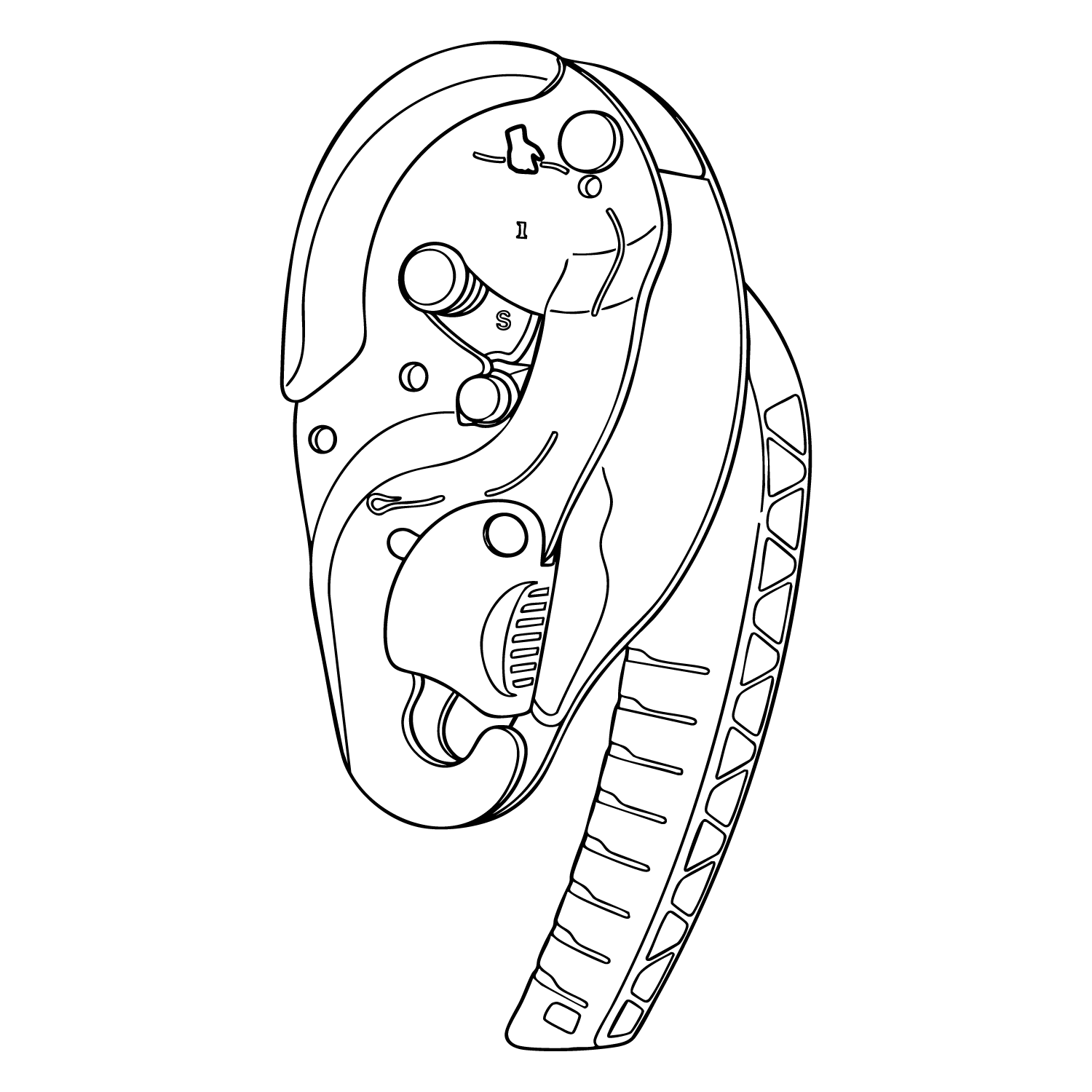 Descenders