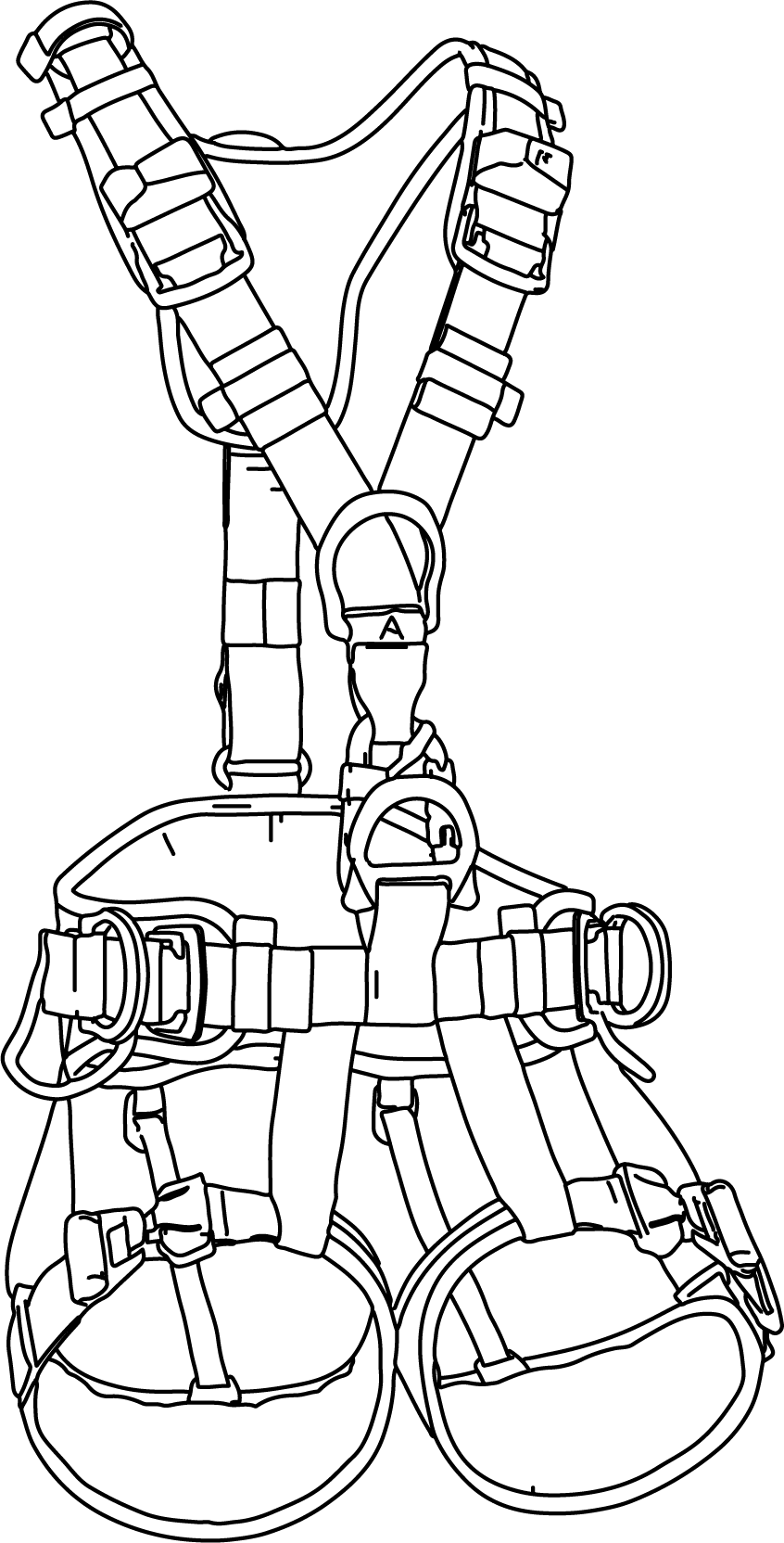 NEWTON